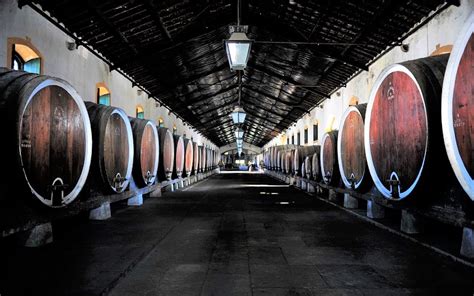 Colares Regional Wine cellar - Visit Sintra