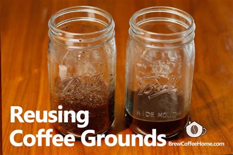 Can You Reuse Coffee Grounds - We Tested And Here Is What We Found