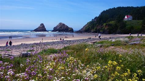 Cheap Flights to Eugene, Oregon $208.80 in 2017 | Expedia