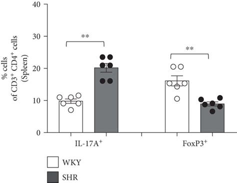 T Cell Profiles Of The Peripheral Blood Mononuclear Cells Pbmcs And