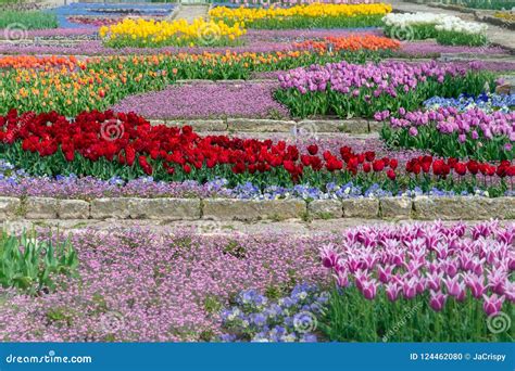 Beautiful Flower Plantation Commercial Growing In Botanic Garden Stock