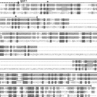 Alignment Of Deduced Amino Acid Sequences Of A Californica Freps And