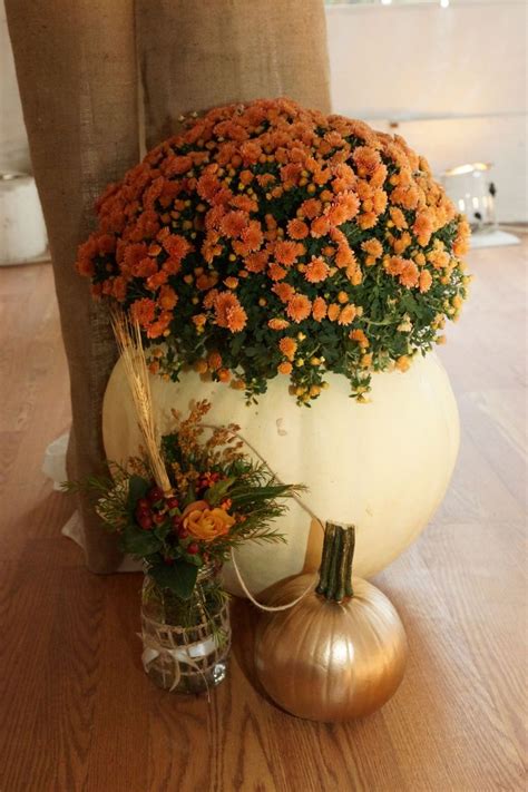 Fall Wedding Decorlarge Cleaned Out Pumpkin With A Potted Mum Gold