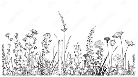 Beautiful Wild Flowers In The Field Hand Drawn Sketch Vector