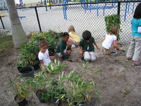 Tradewinds Elementary School Map Of Play