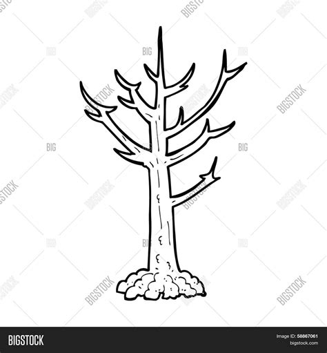 Cartoon Naked Tree Image Photo Free Trial Bigstock