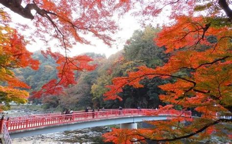 養老渓谷紅葉のおすすめｺｰｽやﾙｰﾄは穴場や見どころは雨画像も Pick Journal