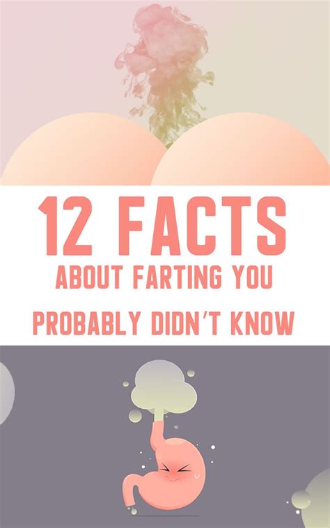 Two Images With The Words 12 Fact About Farting You Probably Didnt Know