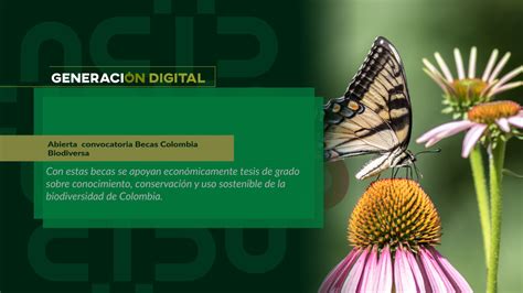 Abierta Convocatoria Becas Colombia Biodiversa