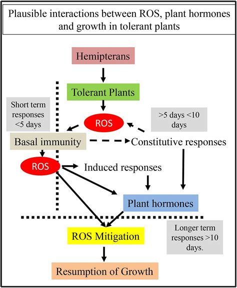 Frontiers Plant Tolerance A Unique Approach To Control Hemipteran Pests