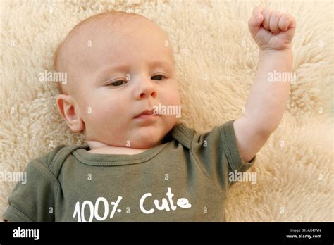 Sheepskin Rug Hi Res Stock Photography And Images Alamy