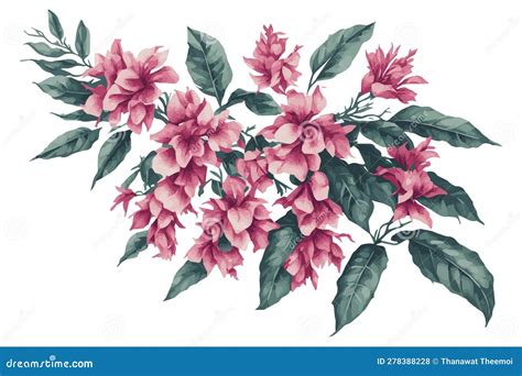 Bougainvillea Realistic Poster Set Vector Illustration Cartoondealer