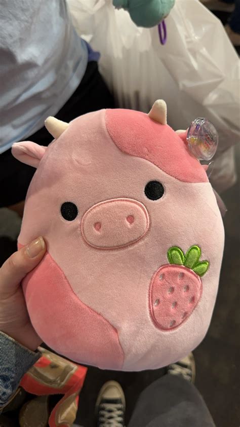 Look Who I Found At Hot Topic Today R Squishmallow