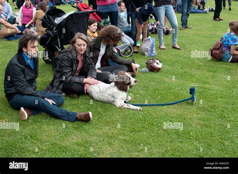 Festival-goers with a dog Stock Photo - Alamy