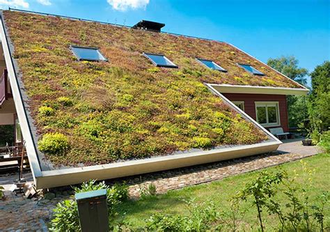 Secrets Of A Flourishing Eco Roof Best Pick Reports