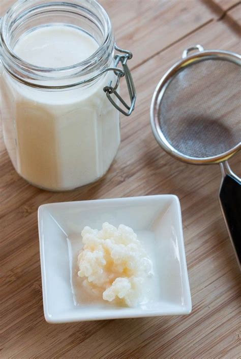 Como Hacer Kéfir De Leche Recipe Kefir Kefir How To Make