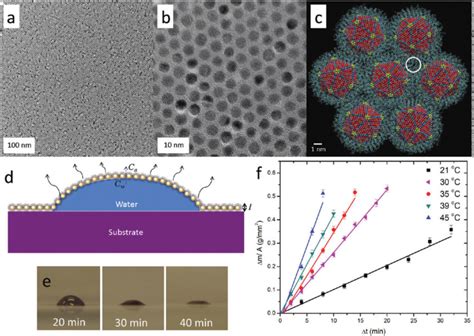 SelfAssembly Of Nanoparticles In 2D And 3D Recent Advances And Future