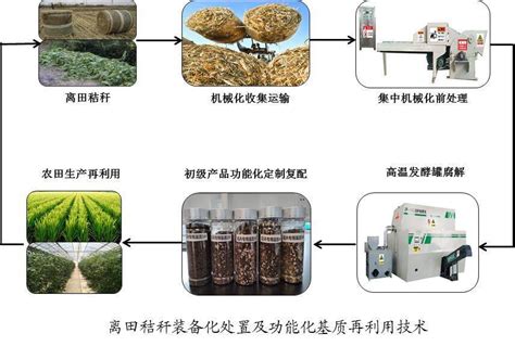 离田秸秆装备化处置及功能化基质再利用技术 苏州市农业科学院官方网站