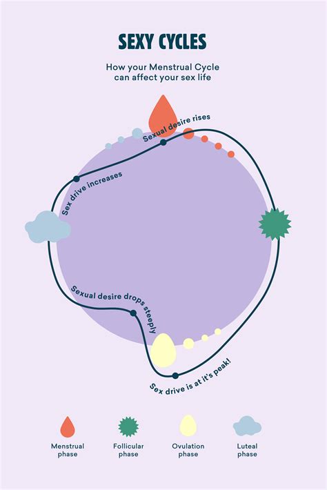 The Stages Of The Menstrual Cycle Explained Free Mandala Cycle Tracking