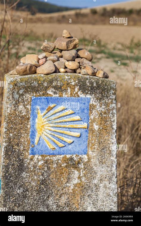 Camino Stylized Scallop Shell Route Marker Camino Francis Camino To