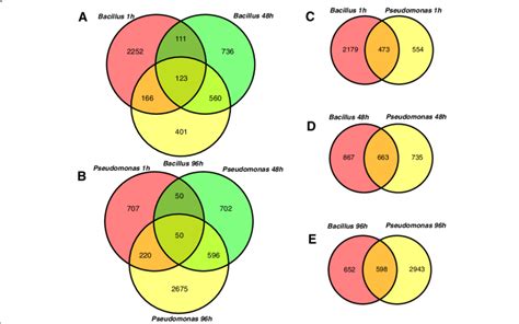 Venn Diagram Of Differentially Expressed Genes Degs At 1 48 And 96 H Download Scientific