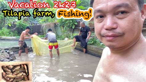 Tilapia Farm Harvest Buhay Probinsya Ponz Mix Vlog Youtube