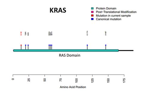 Kras Protein Plot Automation Is Utilized To Generate A Lolliplot