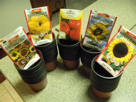 Diy Indoor Seed Starting System 5 Steps With Pictures Instructables