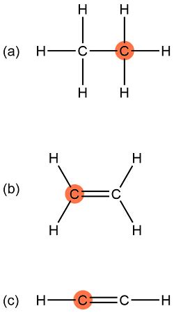 Identify the orbital hybridization of each highlighted atom. | Homework ...