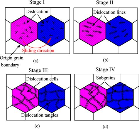 Schematic Illustration Of The Microstructural Evolution For The Worn