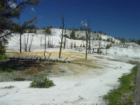 Mammoth Hot Springs Terraces An Unusual Waterfall Type