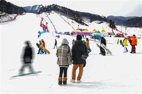 A Pyeongchang Preview - The New York Times