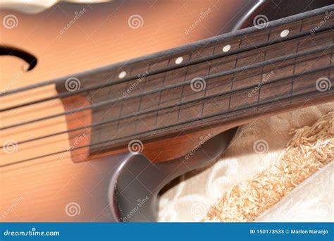 5 Strings Fretless Bass Guitar Stock Image - Image of strings, fretless ...