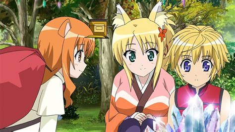 Dog Days 2011