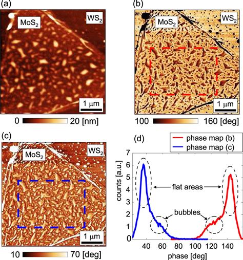 A Morphology Of Mos Ws Heterostructure B Phase Map For The