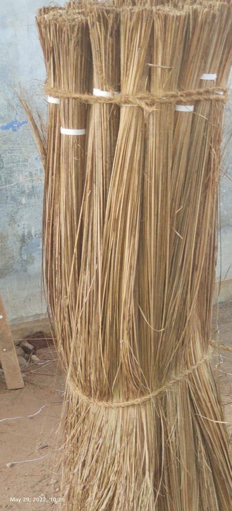 Coconut Coco Brooms At Rs 80 Kg In Mumbai ID 26029145673