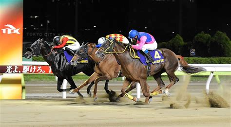 【地方競馬】帝王賞jpn1 メイショウハリオが史上初の連覇達成！鼻、頭差の歴史的な大激戦を制した ライブドアニュース