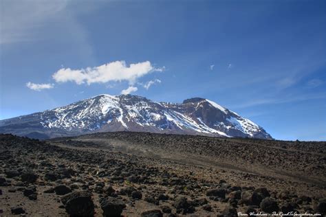 Photo Of The Week Snow Capped Mount Kilimanjaro From Shira Plateau