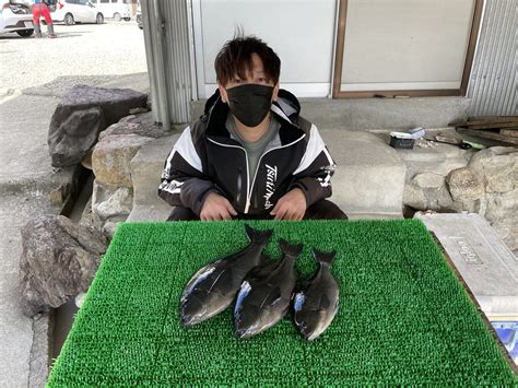 磯釣りでグレ30㎝〜40㎝まで3枚・ゲット！ 一栄丸渡船｜三重県紀北町