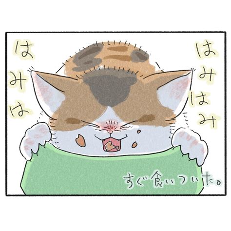 あかにゃんの本能。 │ もふもふびより