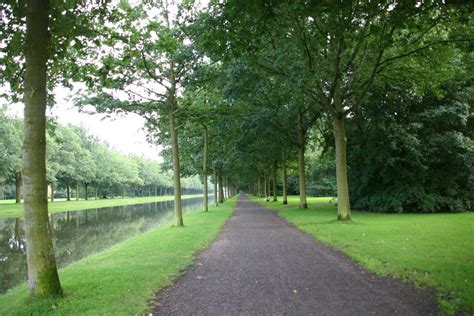 Free Images Tree Water Nature Grass Wilderness Bench Lawn