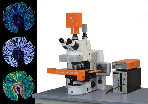 Brightfield Multispectral Fluorescence Imaging And Spectral Unmixing