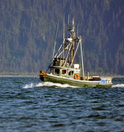 Homer Alaska Halibut Fishing Charters Cusacks On The Kenai