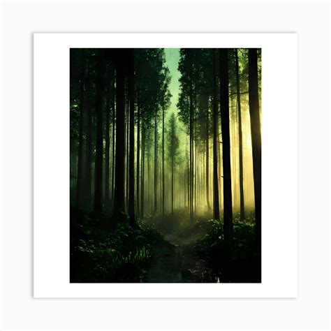 Forest Path Art Print By Mohaallashy Fy