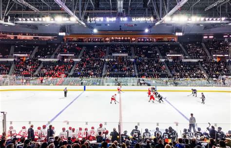 NCAA D1 Men S Hockey Providence Regionals All Session March 29 31