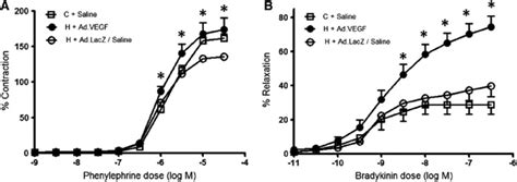 Uterine Artery Vascular Reactivity Dose Response Curves To