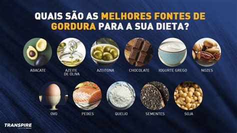 Melhores fontes de gordura 12 opções para a sua dieta