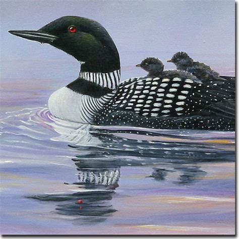 Wall Art Misty Loons 12x12 Rustic Prints And Posters By House