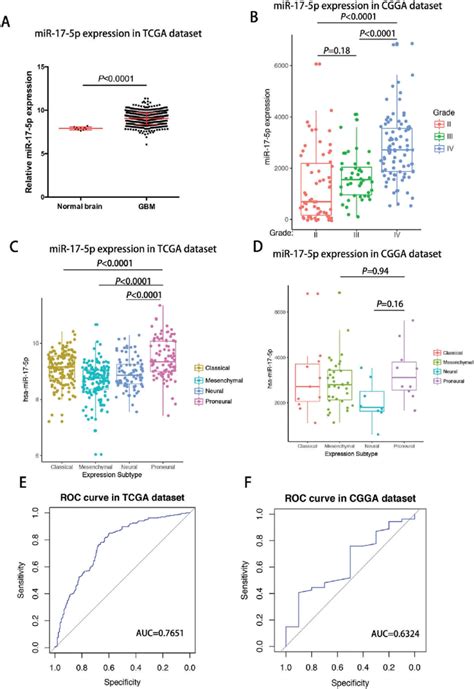 Mir 17 5p Expression Was Upregulated In Glioblastoma And Downregulated