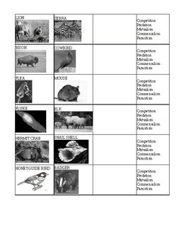 Symbiosis Sorting Study Guide Ecology Practice By Joseph Turyatemba